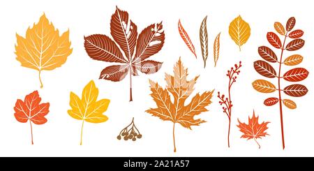 Blätter im Herbst silhouette isoliert. Natur Design Elemente einstellen. Herbst Symbole für Design Stock Vektor