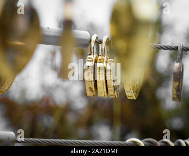 Herzförmige golden Vorhängeschlösser hängen an einem Stahldraht Nahaufnahme und Makro. Stockfoto