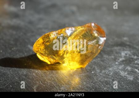 Stück Bernstein auf grauem Schiefer Hintergrund, beleuchtet von der Sonne Stockfoto