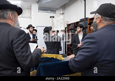 An Tisha B'Av morgen Dienstleistungen nach einer Thora lesen, Blättern wird aufgehoben und der Gemeinde dargestellt. In Cambria Heights, Queens, New York City. Stockfoto