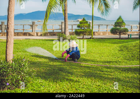 Asiatische Frau Gießen eine grüne und floralen Garten in der Vorort von Nha Trang Stockfoto