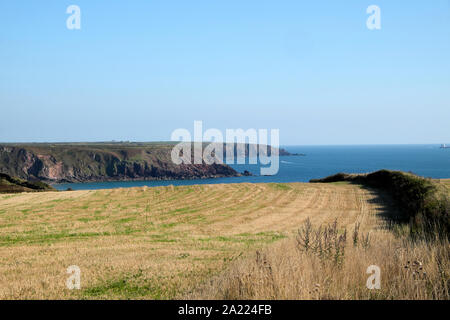 Ansicht des Pembrokeshire Coast von Runnwayskiln Restaurant Garten in Marloes Wales UK KATHY DEWITT Stockfoto