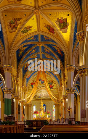 Basilika des Heiligen Herzens, Interieur, Gothic inspiriert katholische Kirche, Altar, Kunst, religiöse Gebäude, blaue und goldene Decke, Universität von Notre Dame Stockfoto