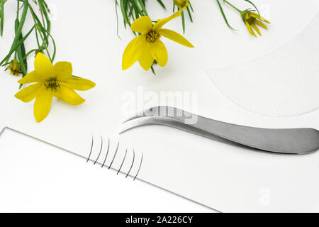 Eye lash Extensions und Schere auf weißem Hintergrund Stockfoto