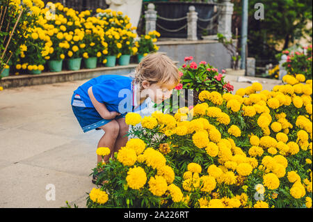 Kleines Kind schnüffelt gelbe Sonnenblume. Fröhlicher Hintergrund. Das Kind spielt draußen Stockfoto