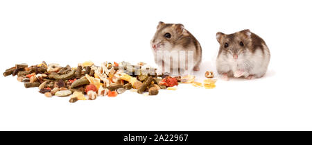 Hamster, Zwerghamster, Hamster auf weißem Hintergrund Stockfoto