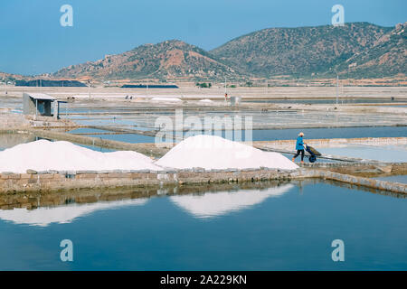 Mitarbeiter sammeln Meersalz aus der Ernte von Meersalz in Ninh Thuan, Vietnam. Bauern ernten Salz. Royalty hochwertige Lager Bild der Landschaft. Stockfoto