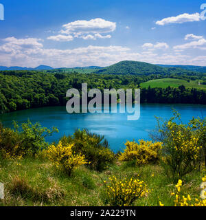 Crater Lake Der Gour de Tazenat, natürlichen Regionalen Naturpark Volcans d'Auvergne, Puy-de-Dome, Auvergne Rhône-Alpes, Frankreich Stockfoto