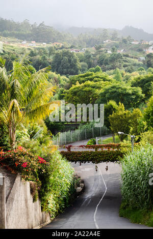Straße auf der grünen Vegetation auf Madeira Stockfoto