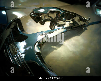 Emblem auf der Motorhaube, Jaguar Auto Stockfoto