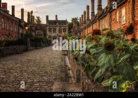 Wells, Sommerset, England, Vereinigtes Königreich, Europa Stockfoto