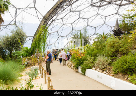 Das Eden Projekt Mediterrane biome eine beliebte Sehenswürdigkeit in einem ehemaligen Steinbruch mit tropischen Gärten in riesigen Kuppeln untergebracht war Stockfoto