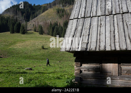 Ein Berg Bauer an einem landwirtschaftlichen Hütte auf Polana Chocholowska eine Wanderroute auf Dolina Chocholowska im Tatra Nationalpark, am 17. September 2019, in der Nähe von Zakopane, Malopolska, Polen. Stockfoto