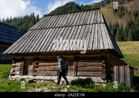 Ein Berg Bauer an einem landwirtschaftlichen Hütte auf Polana Chocholowska eine Wanderroute auf Dolina Chocholowska im Tatra Nationalpark, am 17. September 2019, in der Nähe von Zakopane, Malopolska, Polen. Stockfoto