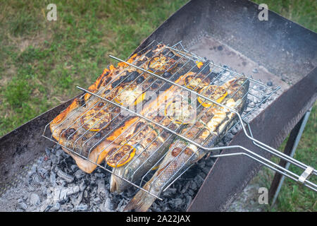 Grill im Freien mit gegrillten Lachs und vergoldeten Kopf Brassen Stockfoto