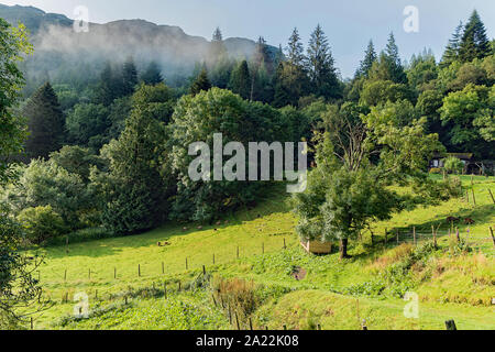 Craig Highland Farm - Ansichten - Animal Sanctuary in Schottland Stockfoto