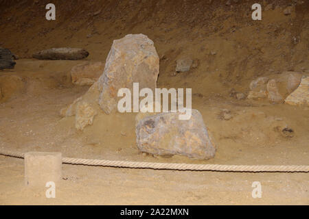 Steppe mammoth Fossilien, mammuthus Trogontherii, Viminacium, wissenschaftliche archäologische Stätte, Mitte, Kostolac, Branichevo Bezirk, Serbien. Stockfoto