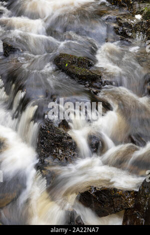 Cordorcan brennen Wasserfälle in den Wald von Cree Nature Reserve, Newton Stewart, Dumfries und Galloway, Schottland Stockfoto