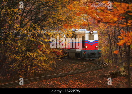 Wald Zug in fantastischen Farben des Herbstes. Helle Lichter, fantastische Stimmung. Kinder der Bahnhof in Budapest. Janos Hügel zu huvosvolgy Stockfoto