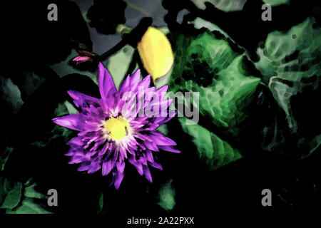 Aquarell Bild Abbildung Schöne lila Seerose oder Lotus Blume im Teich dunkelgrünen Hintergrund Stockfoto