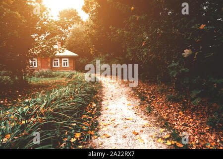 Holz- Haus mit Straße mit orange und gelbe Blätter im Wald im Herbst Stockfoto