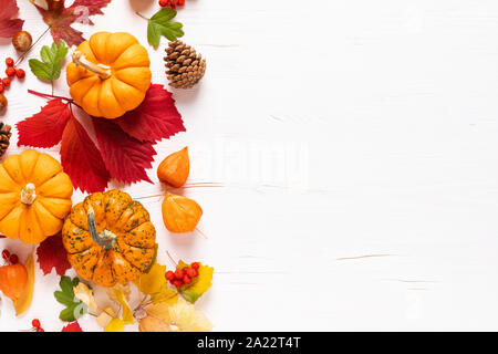 Festliche Herbst Kürbisse Einrichtung mit Herbstlaub, Beeren, Nüsse auf weißem Hintergrund. Thanksgiving oder halloween Urlaub, Ernte Konzept. Ansicht von oben Fl Stockfoto