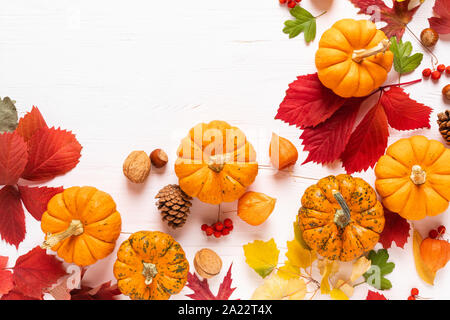 Festliche Herbst Kürbisse Einrichtung mit Herbstlaub, Beeren, Nüsse auf weißem Hintergrund. Thanksgiving oder halloween Urlaub, Ernte Konzept. Ansicht von oben Fl Stockfoto