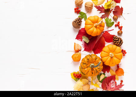 Festliche Herbst Kürbisse Einrichtung mit Herbstlaub, Beeren, Nüsse auf weißem Hintergrund. Thanksgiving oder halloween Urlaub, Ernte Konzept. Ansicht von oben Fl Stockfoto