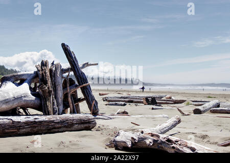 Ein Schutz von treibholz am Long Beach in der Nähe von Tofino, Vancouver Island, Kanada gefunden werden Stockfoto