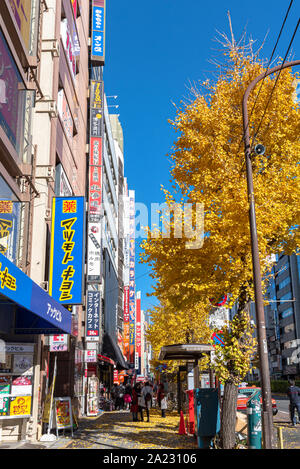 Blick auf die Straße von Asakusabashi Station Außenbereich mit sonnigen Tag und blauer Himmel im Herbst Laub Saison. Fußgängerzone in der ginkgo Bäume gefallen Stockfoto