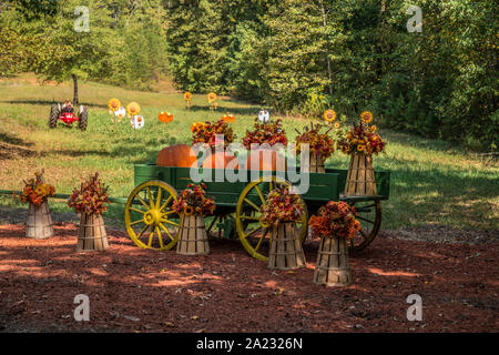 Eine Herbstferien festliche Anzeige eines grünen hölzernen Wagen mit Kürbissen und Herbst Blumen auf Körbe in einer Farm Feld an einem sonnigen Tag Stockfoto