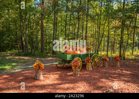 Ein Herbst Anzeige eines grünen hölzernen Wagen mit Kürbissen und Herbst Blumen auf Körbe in einer Farm Feld mit Wäldern im Hintergrund an einem sonnigen Tag Stockfoto