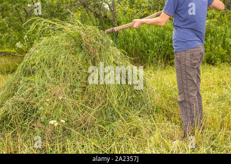 Person, die in die Hände der alten Heugabel und fügt das trockene Gras im Heuhaufen, im Gemüsegarten, vor dem hintergrund der grünen Büschen und ein Stockfoto