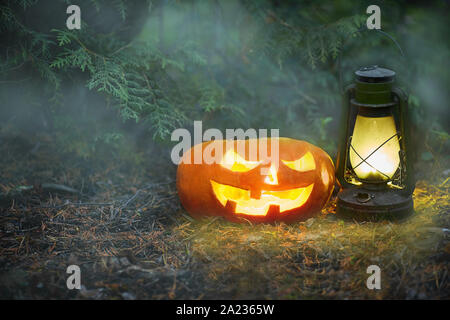 Eine glühende Jack O Lantern in einem dunklen Nebel Wald auf Halloween... Stockfoto