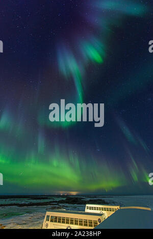 Aurora borealis-Ausstellung über der Tundra Buggy Lodge, Churchill, Manitoba, Kanada Stockfoto