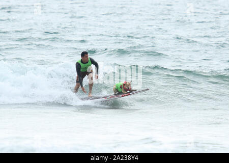 Huntington Beach, Kalifornien, USA. 28. September, 2019. Skyler, ein HEELER, mit Eigentümer Homer Henard am 11. jährlichen Surf City Surf Dog Wettbewerb bei Huntington Hundestrand in Huntington Beach, Kalifornien am 28. September 2019. Stockfoto