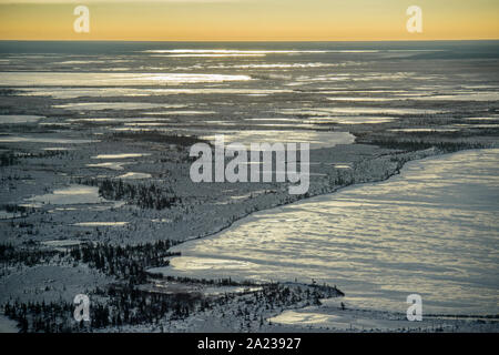 Hudson Bay Tiefland bei Frost-up aus der Luft. Boreal Trees and Ponds, Churchill, Manitoba, Kanada Stockfoto