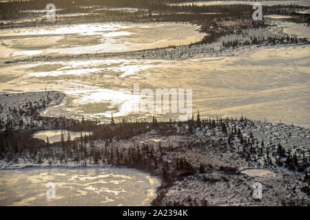 Hudson Bay Tiefland bei Frost-up aus der Luft. Boreal Trees and Ponds, Churchill, Manitoba, Kanada Stockfoto