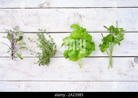 Frische organische abgeholt Kräuter auf weißem verwitterter Bretter Hintergrund Schuß von oben. Gesunde Ernährung Konzept, Raum für Text. Stockfoto