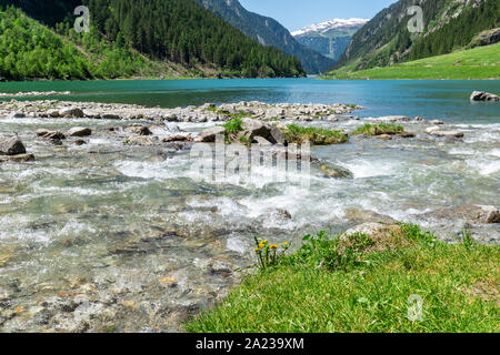 Schnellen Wasser Strom fließen in Mountain Lake. Landschaft mit Steinen im Bach, die von üppiger Vegetation umgeben. Sommer Berge in den Alpen, Austri Stockfoto