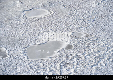 Hudson Bay Tiefland bei Frost-up aus der Luft. Boreal Trees and Ponds, Churchill, Manitoba, Kanada Stockfoto