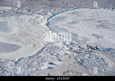 Hudson Bay Tiefland bei Frost-up aus der Luft. Boreal Trees and Ponds, Churchill, Manitoba, Kanada Stockfoto