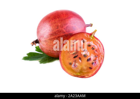 Rote Stachelbeeren in Nahaufnahme. Stachelbeeren auf weißem Hintergrund. Stockfoto