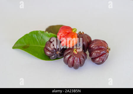 Blatt und Cayenne Kirsche Stockfoto