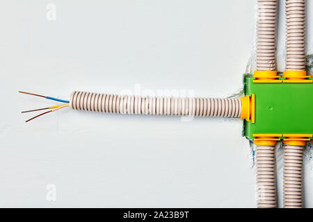Elektrische Arbeit. Anschluss eines elektrischen Kabels zu ein an der Wand montierter Anschlusskasten, Rechteckig, aus grünem Kunststoff. Haushalt Verkabelung ist der sich in der ausgeblendet Stockfoto