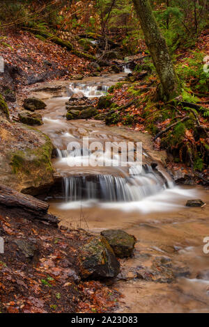 Waldbach mit Wasserfällen im späten Herbst, Wagner fällt Scenic Area, Munising, Michigan, USA Stockfoto