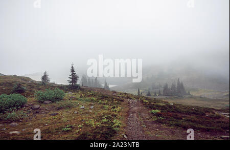 Moody Wanderweg durch tiefe nebligen Wald auf Panorama Ridge, in British Columbia, Kanada Stockfoto