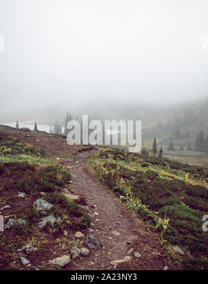 Moody Wanderweg durch tiefe nebligen Wald auf Panorama Ridge, in British Columbia, Kanada Stockfoto