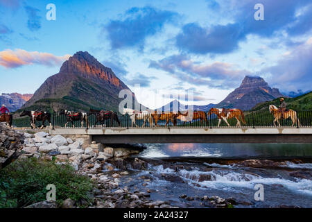 Montana, AUG 25: Cowboys und Pferde im Many Glacier Gegend des berühmten Glacier National Park am 25.August 2019 bei Montana Stockfoto