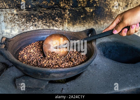 Luwak Kaffee, Kopi Luwak ist Kaffee, die einen Teil - Verdauten Kaffeekirschen gefressen und durch die Asiatische Palm civet in Bali, Indonesien defecated Stockfoto